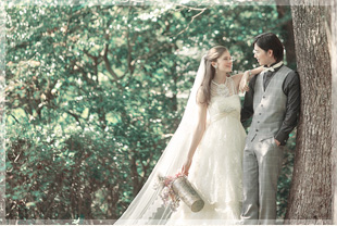 フォトギャラリー